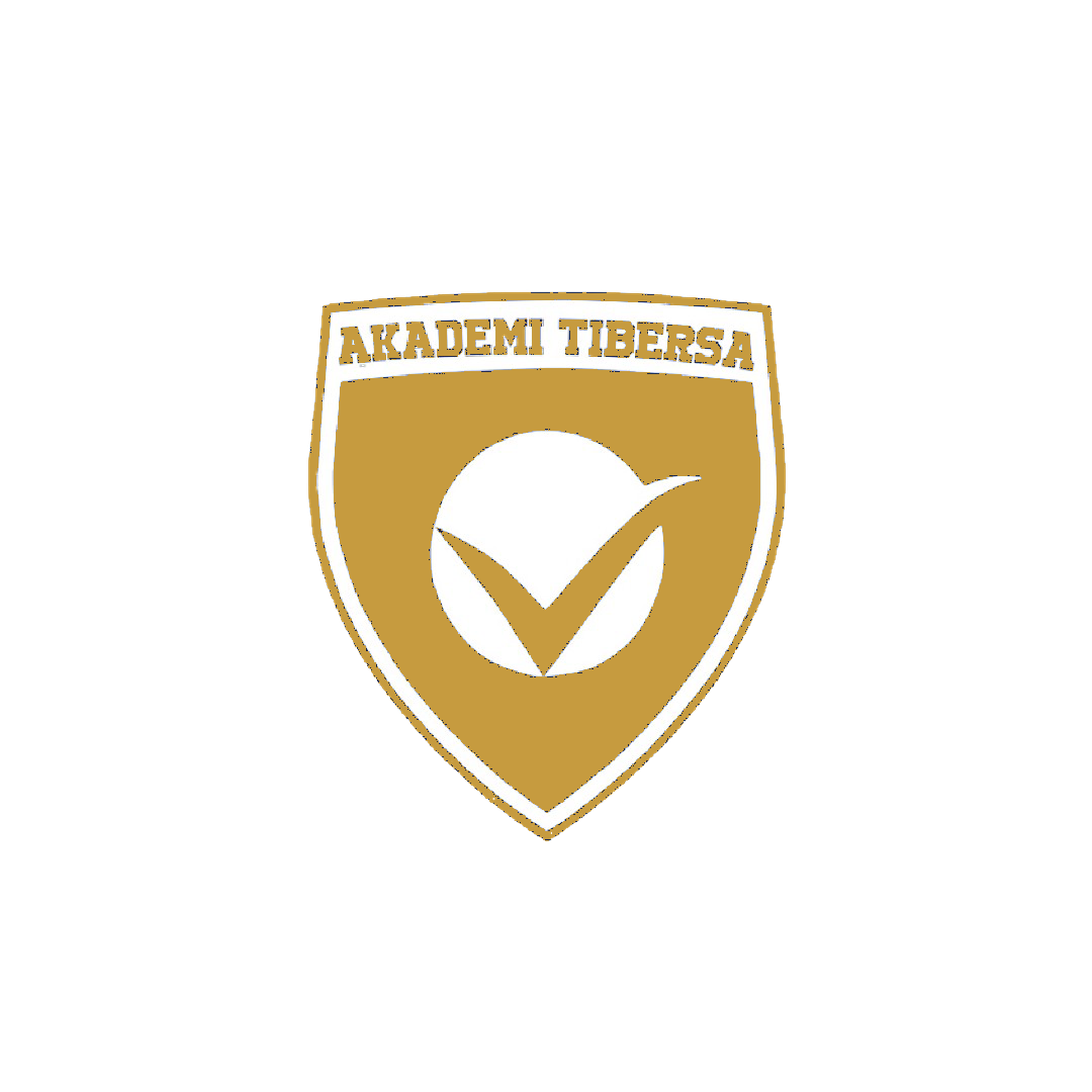 Akademi Tibersa